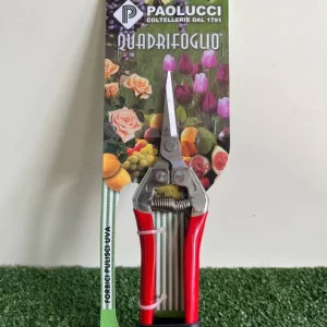 PULISCI UVA