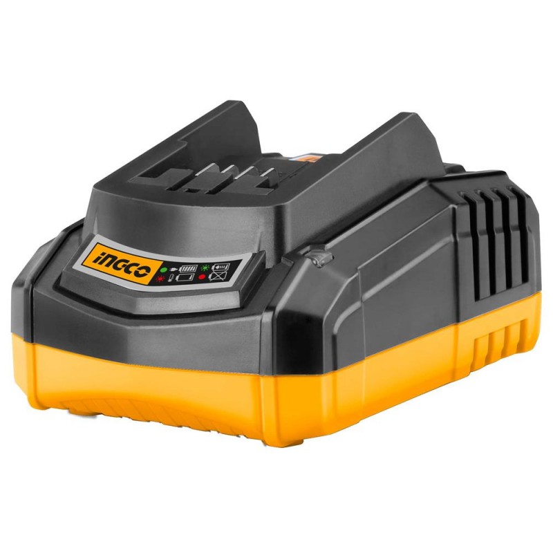 caricabatterie rapido 20v 110v 240v